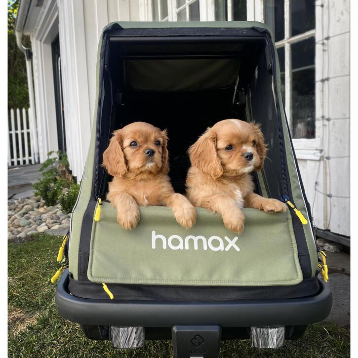 Hamax Pluto Dog Trailer Medium - Enviro Electric Bikes