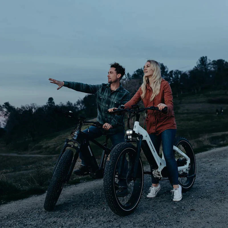 Himiway D5 Premium Zebra Step Through All-terrain Electric Fat Bike - Enviro Electric Bikes