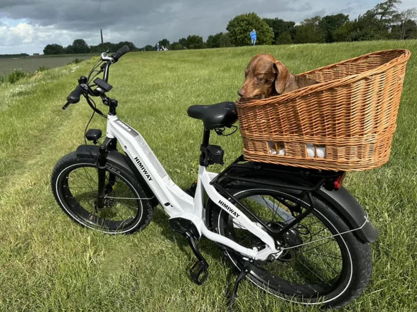 Himiway D5 Premium Zebra Step Through All-terrain Electric Fat Bike - Enviro Electric Bikes