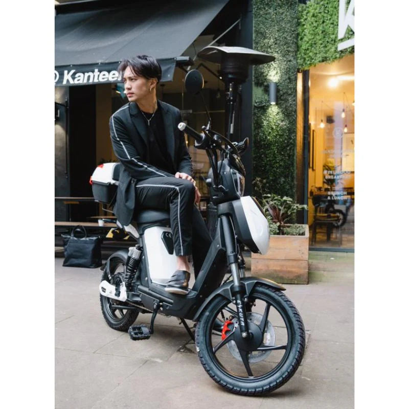 Eskuta SX-250 Series IV Cargo Moped Style EAPC Electric Bike - Enviro Electric Bikes