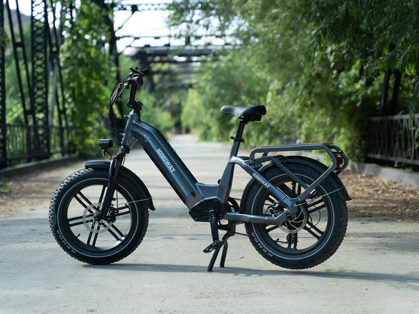 Himiway Big Dog Electric Cargo Bike - Enviro Electric Bikes