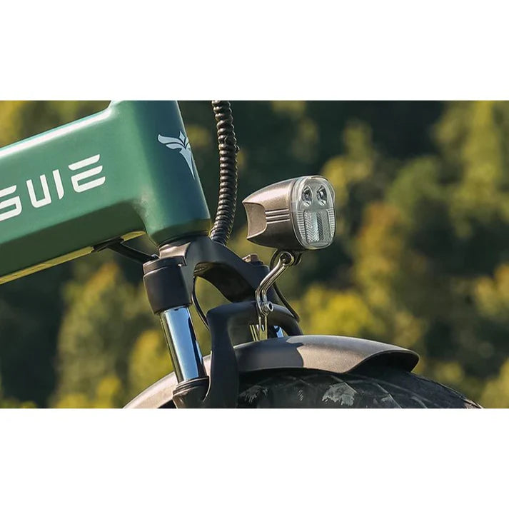 ENGWE EP-2 3.0 Boost