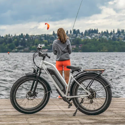 Himiway Cruiser Long Range All Terrain Step Through Electric Bike