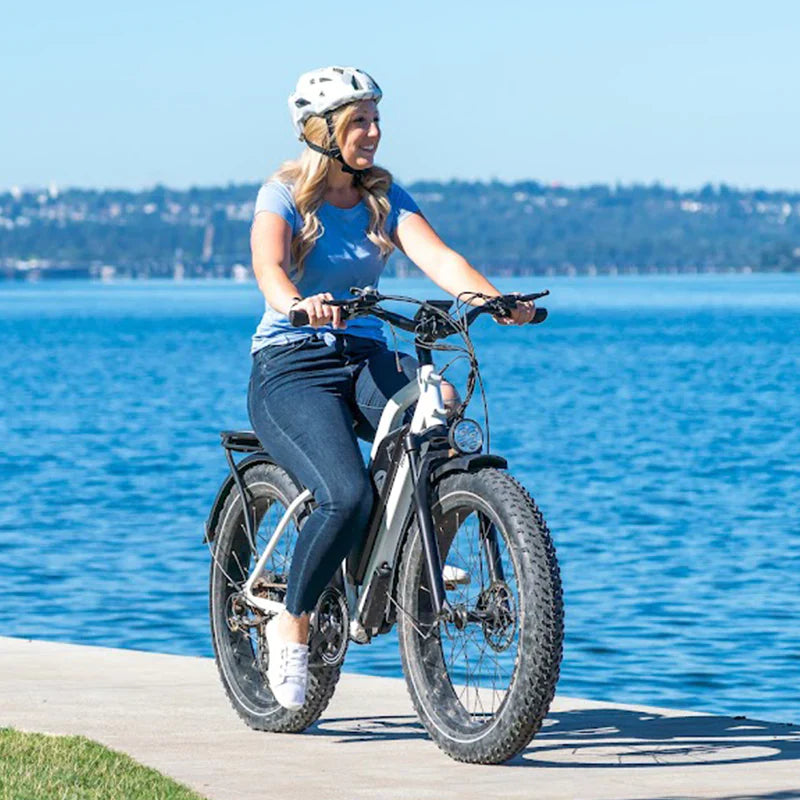 Himiway Cruiser Long Range All Terrain Step Through Electric Bike