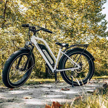 Himiway Cruiser Long Range All Terrain Step Through Electric Bike