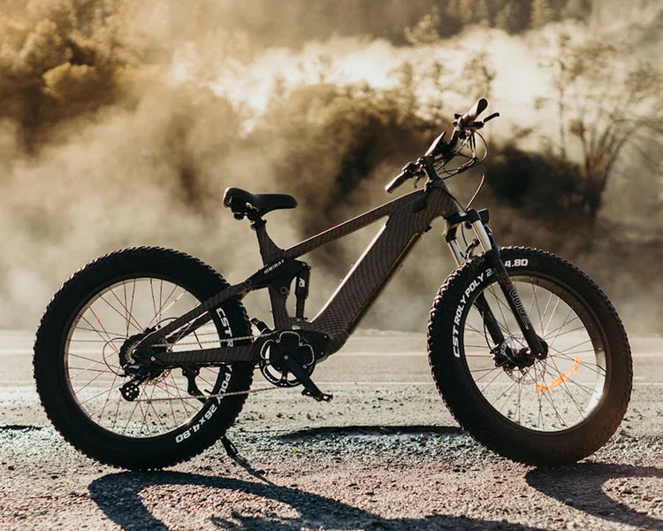 Himiway King Cobra Electric Mountain Bike