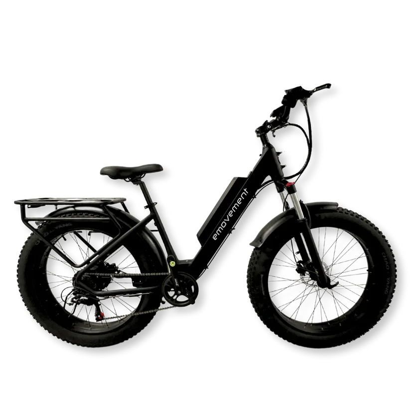 E-Movement Aries (Black) Fat Tyre Mountain Electric Bike