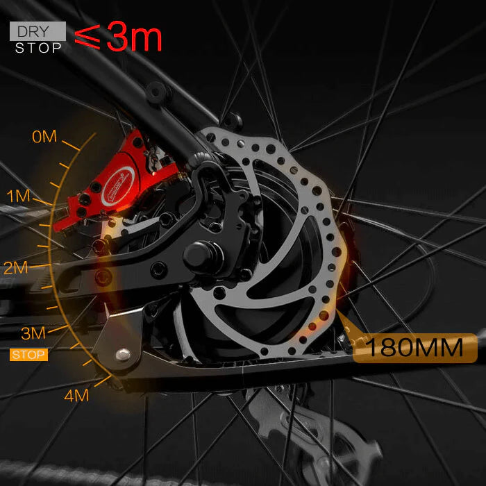 LANKELEISI MG740PLUS Front And Rear Dual Motor 1000W Off-Road Electric Bike