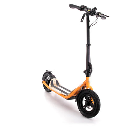 8TEV B12 Roam Electric Scooter