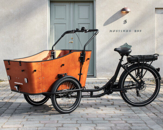 AM Cargo Ultimate Harmony Cargo Electric Tricycle – Black/Woodgrain