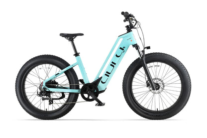 Cyrusher Aura 250W Torque & Cadence Sensor 80Nm 60 Mile Range Step Through Electric Bike