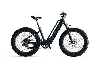 Cyrusher Aura 250W Torque & Cadence Sensor 80Nm 60 Mile Range Step Through Electric Bike