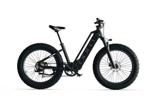 Cyrusher Aura 250W Torque & Cadence Sensor 80Nm 60 Mile Range Step Through Electric Bike