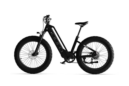 Cyrusher Aura 250W Torque & Cadence Sensor 80Nm 60 Mile Range Step Through Electric Bike