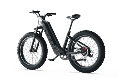 Cyrusher Aura 250W Torque & Cadence Sensor 80Nm 60 Mile Range Step Through Electric Bike
