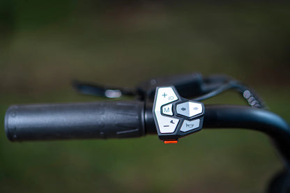 Cyrusher Trax 2.0 250W 95Nm 75 Mile Range Step Through Electric Bike