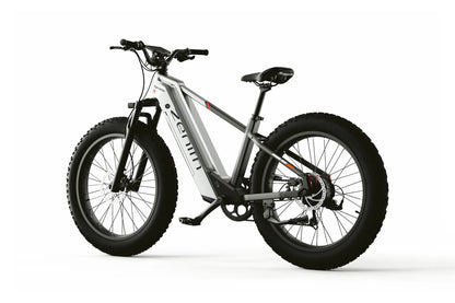 Cyrusher Zenith 250W Torque & Cadence Sensor 80Nm 60 Mile Range Electric Bike