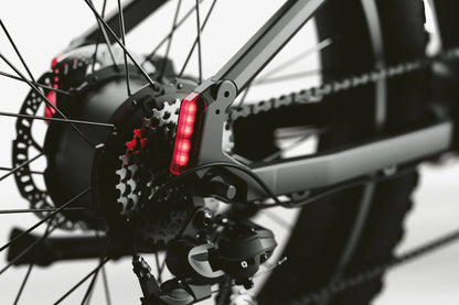 Cyrusher Zenith 250W Torque & Cadence Sensor 80Nm 60 Mile Range Electric Bike