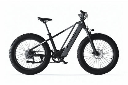 Cyrusher Zenith 250W Torque & Cadence Sensor 80Nm 60 Mile Range Electric Bike