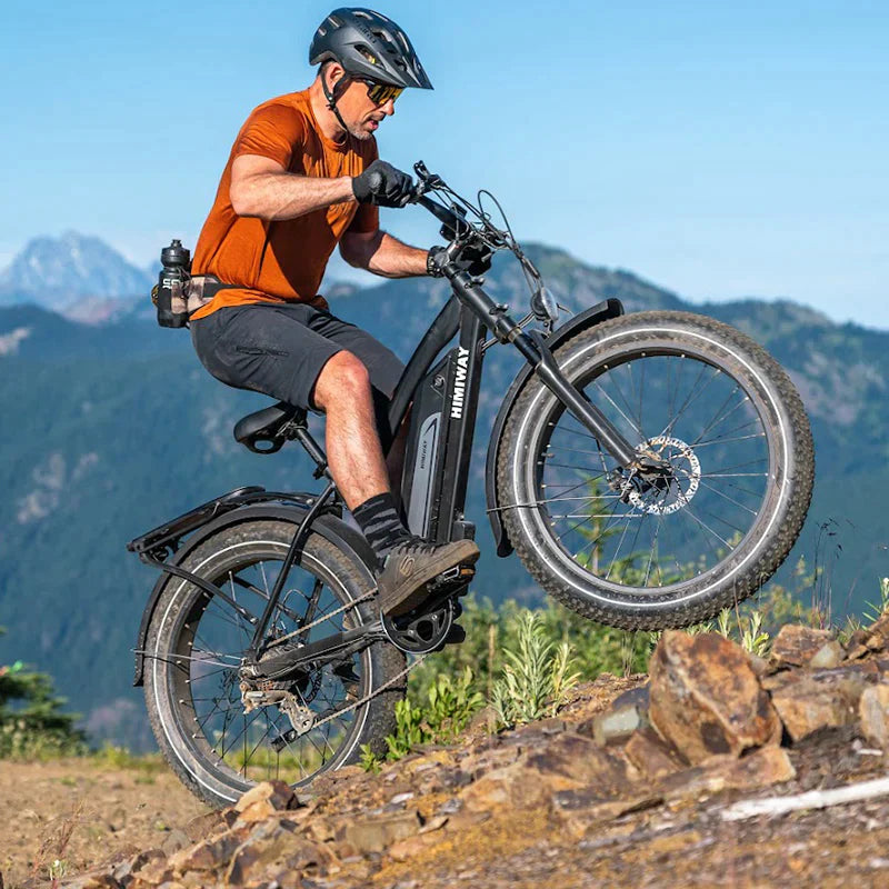 Himiway Cruiser Long Range Fat Tire Electric Bike