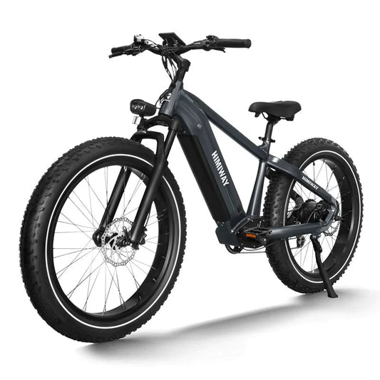 Himiway Premium Zebra All-Terrain Electric Fat Bike