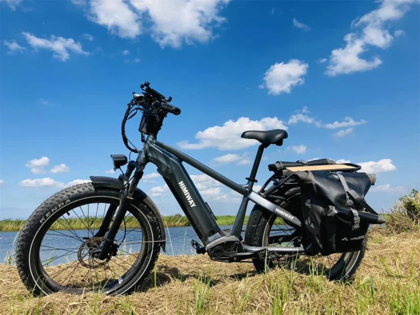 Himiway Premium Zebra All-Terrain Electric Fat Bike