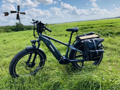 Himiway Premium Zebra All-Terrain Electric Fat Bike