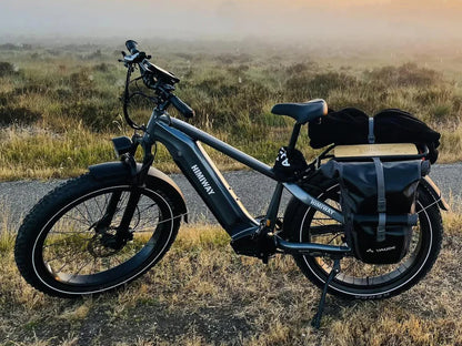 Himiway Premium Zebra All-Terrain Electric Fat Bike