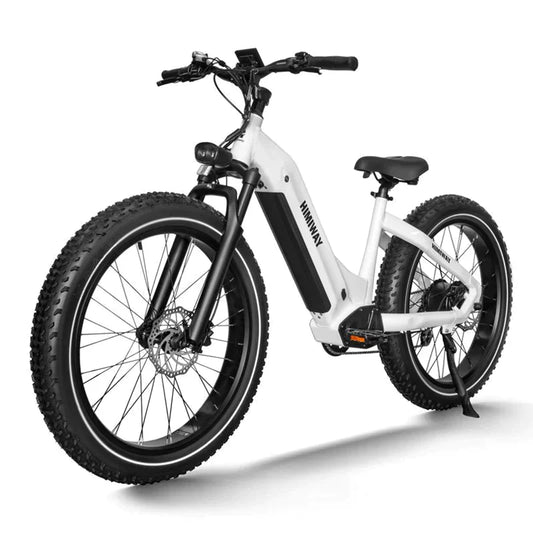 Himiway Premium Zebra Step Through All-terrain Electric Fat Bike