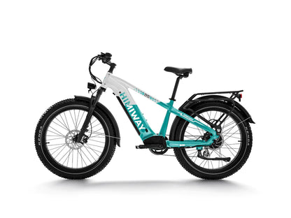 Himiway Premium Zebra All-Terrain Electric Fat Bike