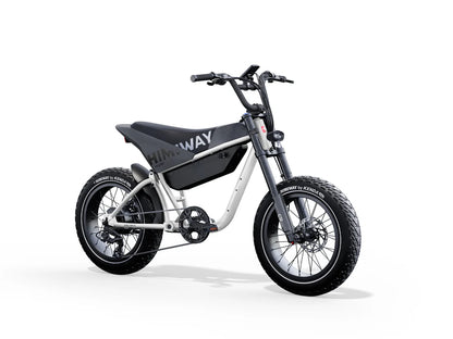 Himiway C5 Electric Bike - Enviro Electric Bikes