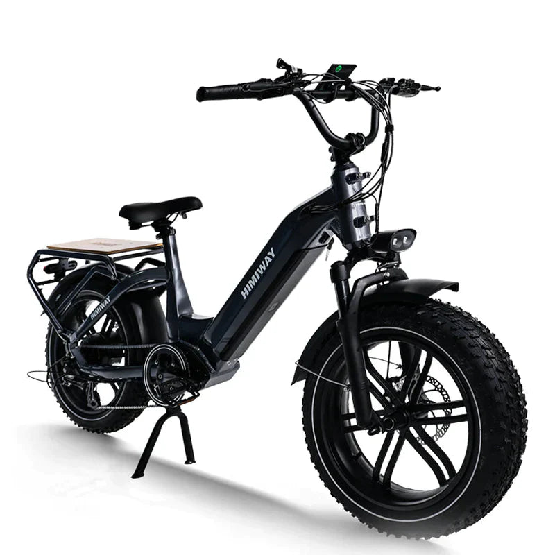 Himiway Big Dog Electric Cargo Bike