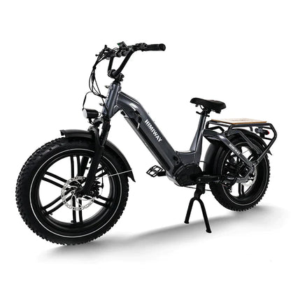 Himiway Big Dog Electric Cargo Bike