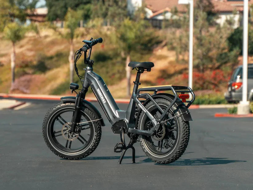 Himiway Big Dog Electric Cargo Bike