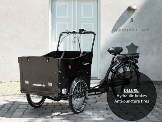 AM Cargo Electric Cargo Bike - Deluxe with Battery Upgrade and Lid